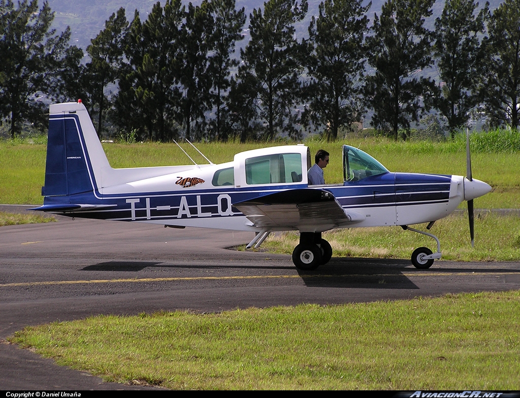 TI-ALQ - Grumman American AA-5B Tiger - AENSA