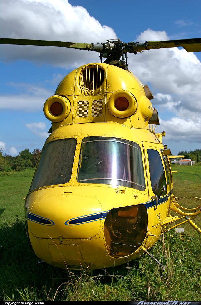 N617JC - WSK-SWIDNIK MI-2 - Privado