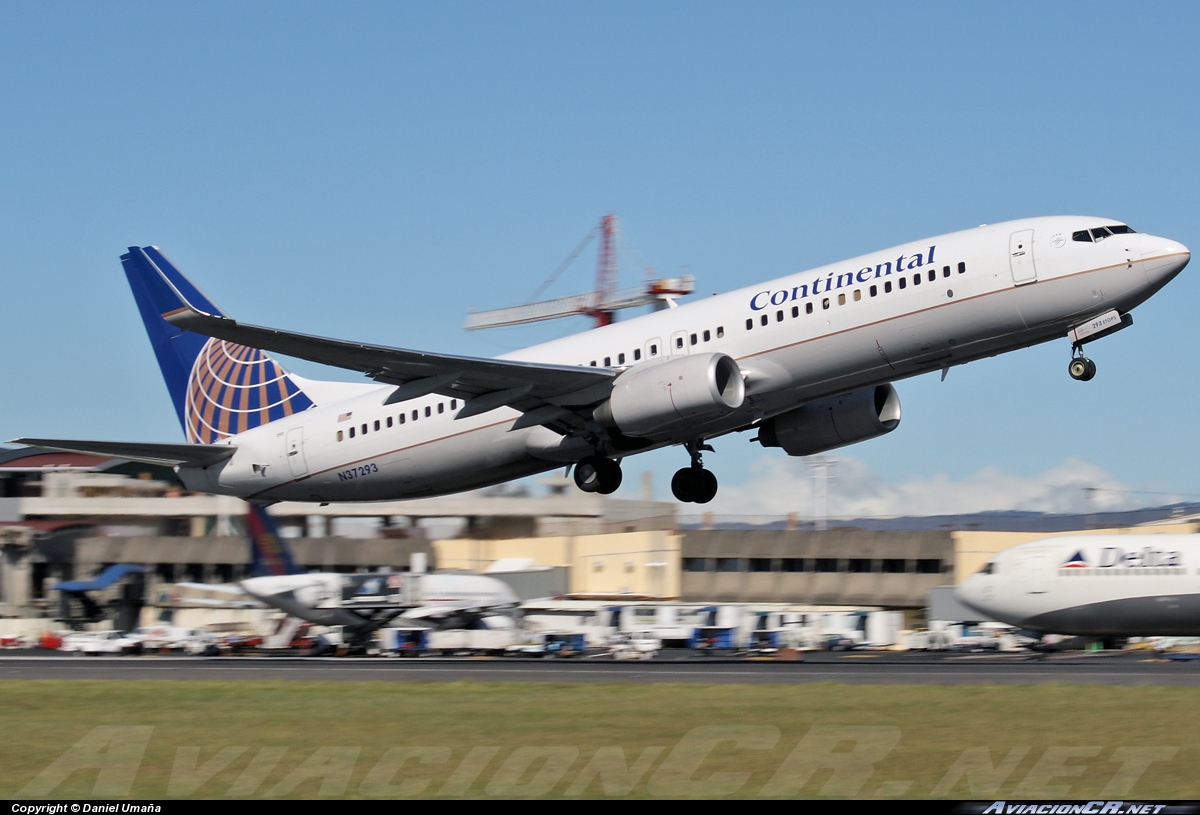 N37293 - Boeing 737-800 - Continental Airlines