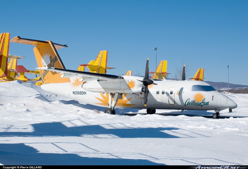N288DH - de Havilland DHC-8 (Dash 8) - Caribbean Sun