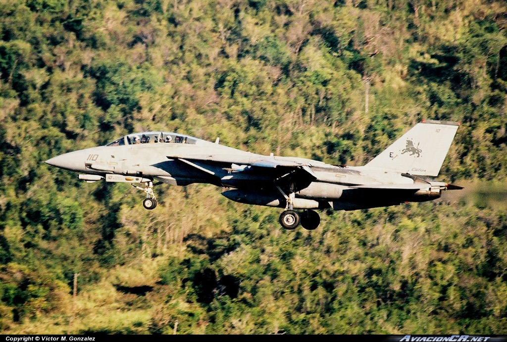 163334 - Grumman F-14D Tomcat - USA - Marina/NAVY