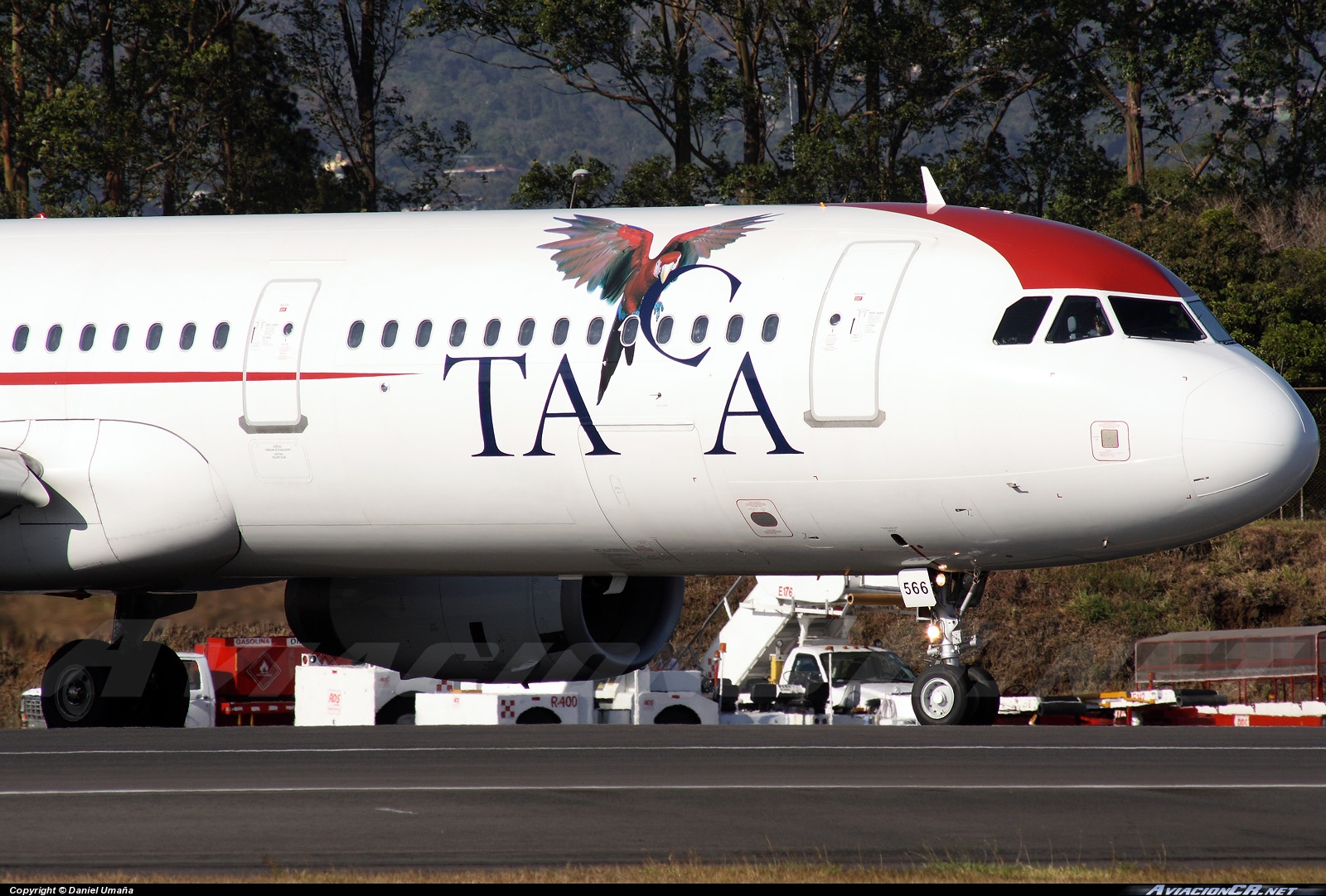 N566TA - Airbus A321-231 - TACA