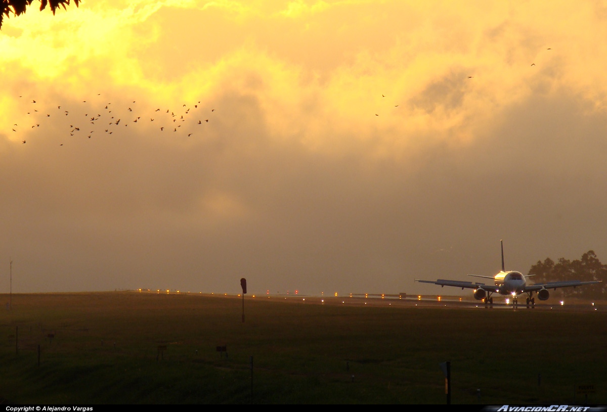 N490TA - Airbus A320-233 - TACA