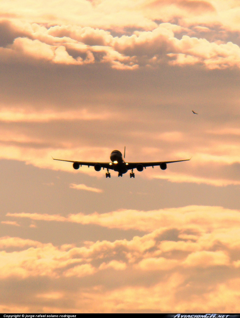 EC-JCY - Airbus A340-642 - Iberia