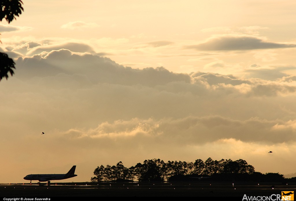 EI-TAF - Airbus A320-233 - Martinair