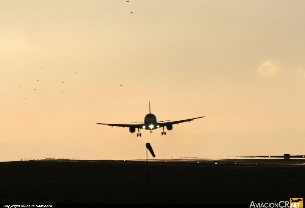 N487TA - Airbus A320-233 - TACA