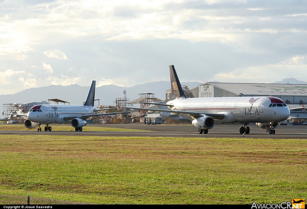 N564TA - Airbus A321-231 - TACA