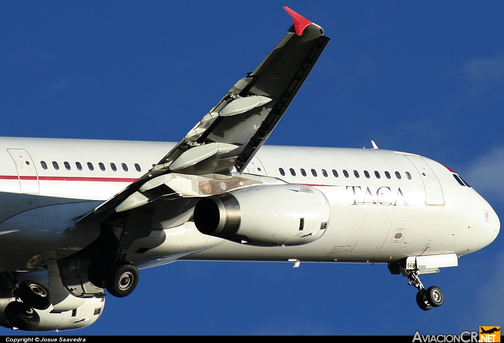 N568TA - Airbus A321-231 - TACA