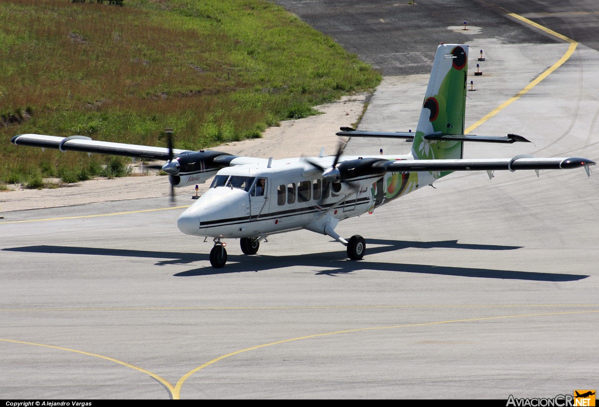 TI-BBQ - De Havilland Canada DHC-6-300 Twin Otter/VistaLiner - Nature Air