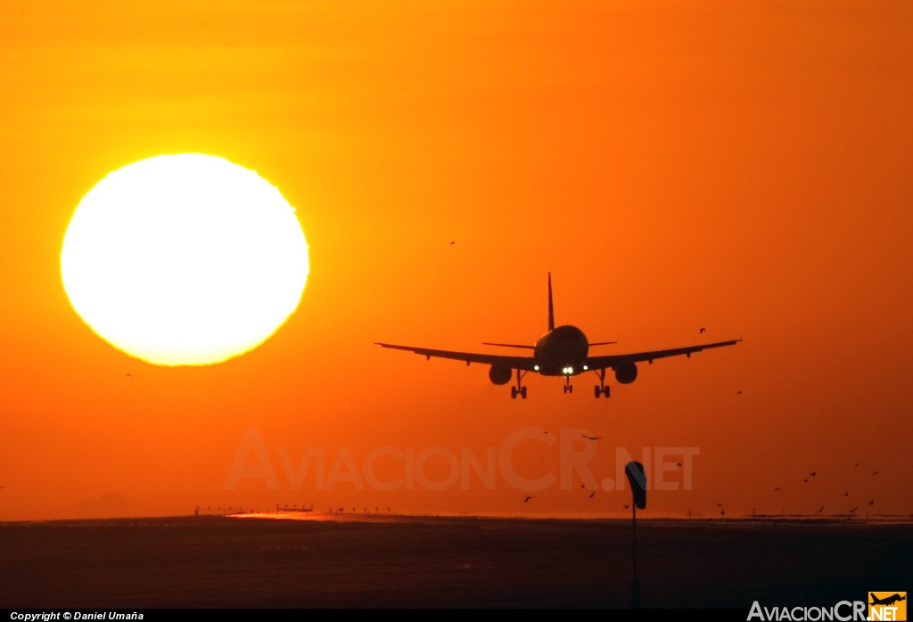 N484TA - Airbus A320-233 - TACA