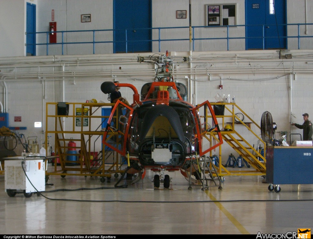  - Aerospatiale HH-65 Dolphin (Genérico) - US Coast Guard