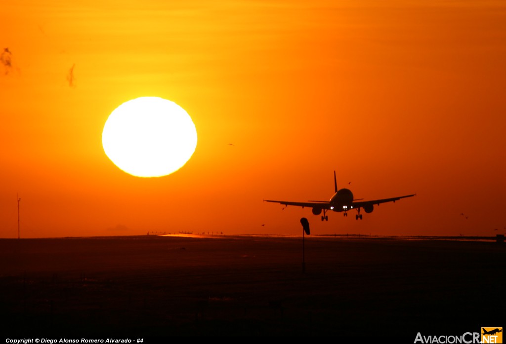 N484TA - Airbus A320-233 - TACA