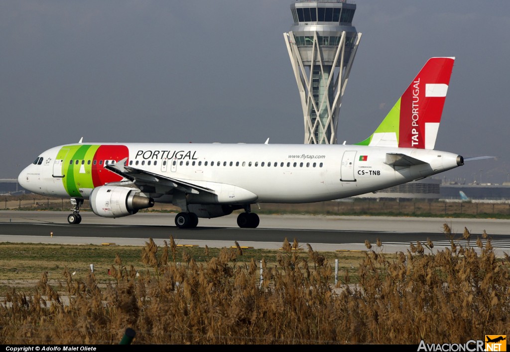 CS-TNB - Airbus A320-211 - TAP Air Portugal