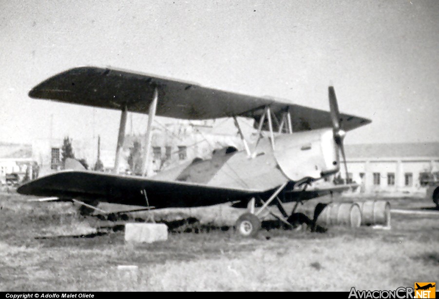 DESCONOCID - De Havilland DH-82 Tiger Moth (Genérico) - Desconocida