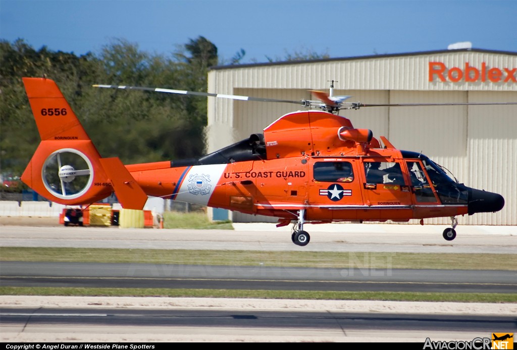 6556 - AEROSPATIALE HH-65C DOLPHIN - US Coast Guard