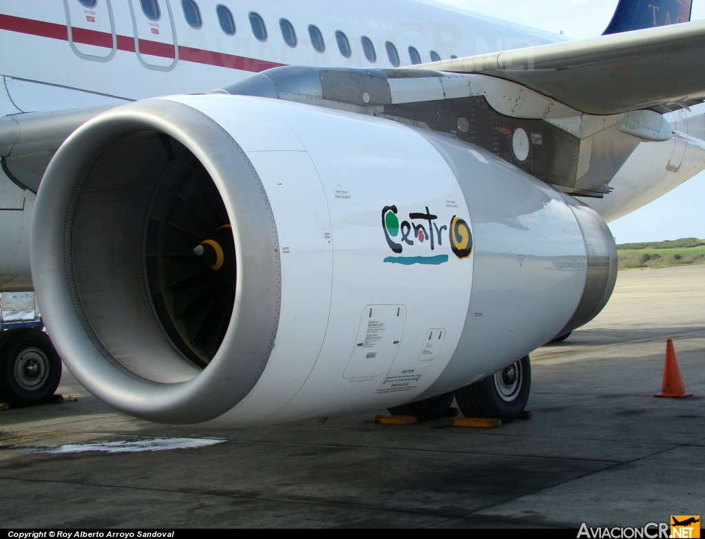 N491TA - Airbus A320-233 - TACA