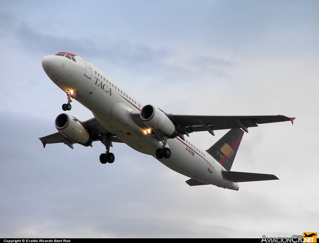 EI-TAD - Airbus A320-233 - TACA