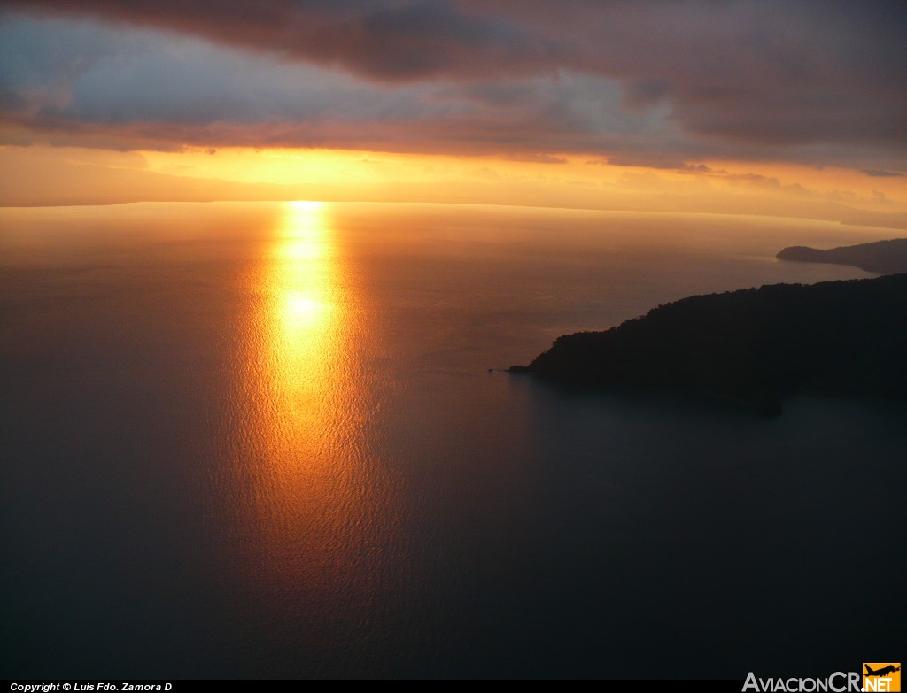 N13AV - Gippsland GA-8 Airvan - Paradise Air