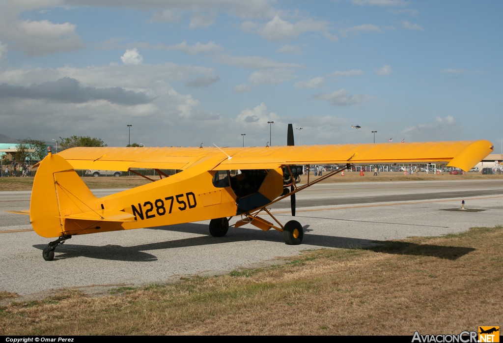 N2875D - Piper PA-18 Super Cub (L-18/L-21/U-7) (Genérico) - Aerial Sign of Puerto Rico