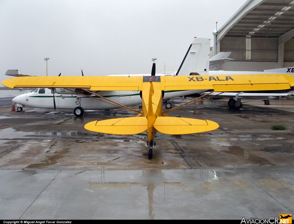 XB-ALA - Piper PA-18T-105 Super Cub Special - Privado