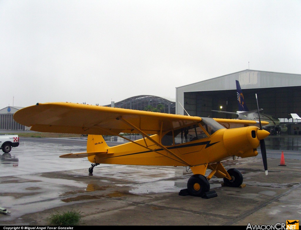 XB-ALA - Piper PA-18T-105 Super Cub Special - Privado