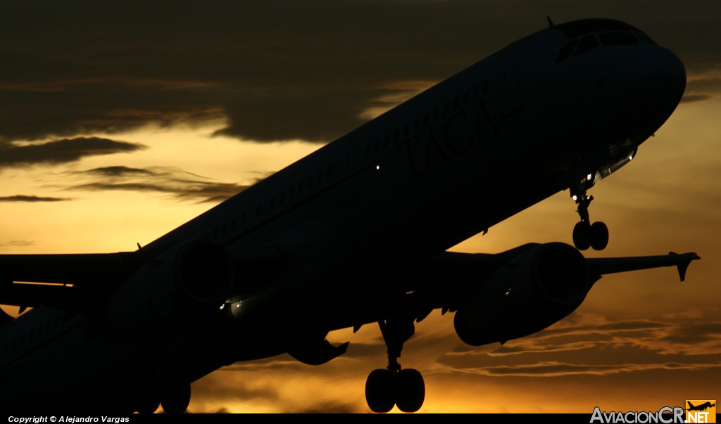 N564TA - Airbus A321-231 - TACA