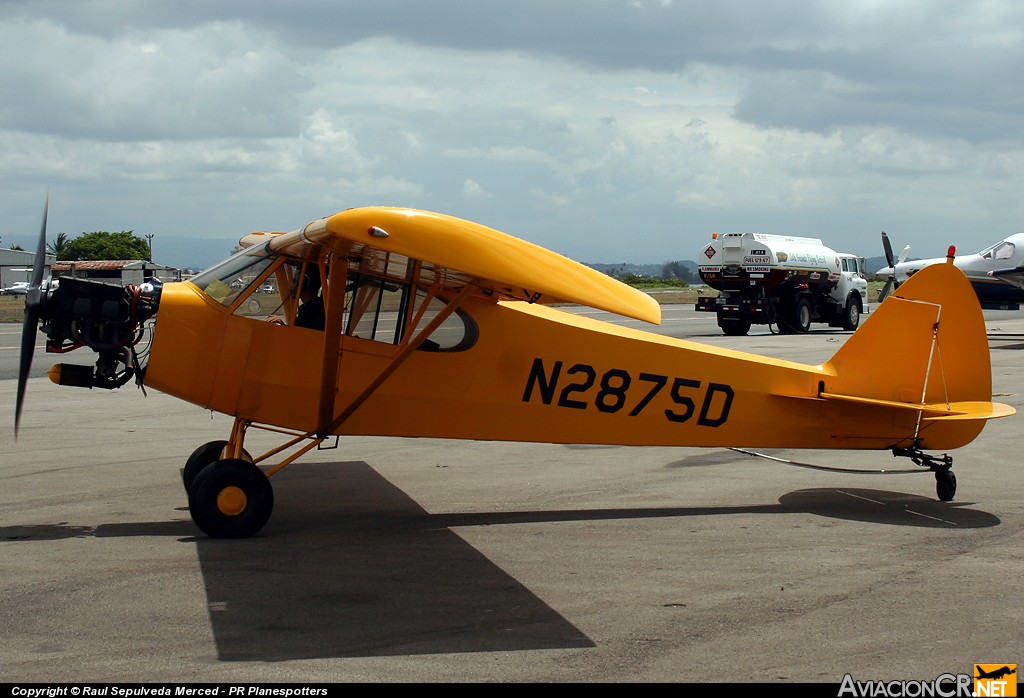 N2875D - Piper PA-18-135 Super Cub - Aerial Sign of Puerto Rico