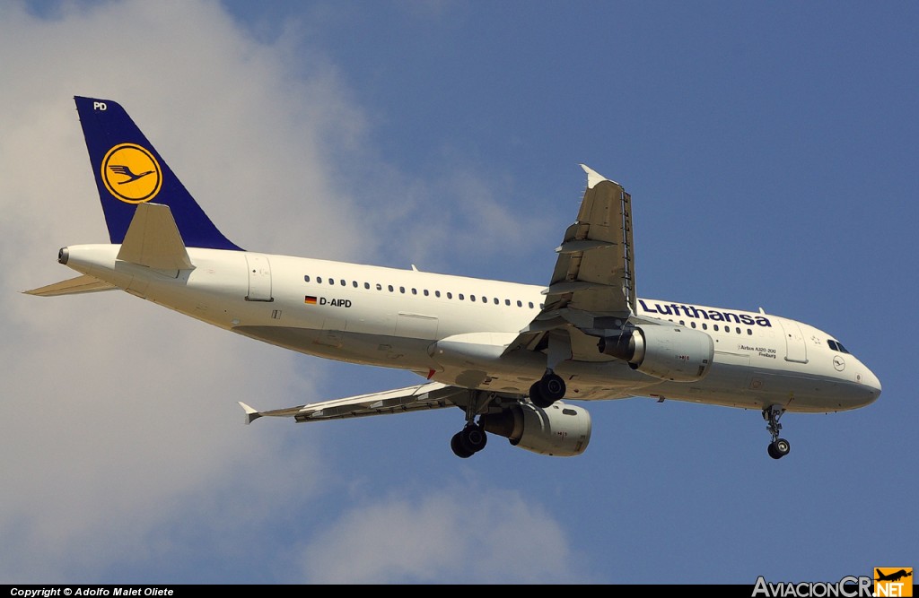 D-AIPD - Airbus A320-211 - Lufthansa