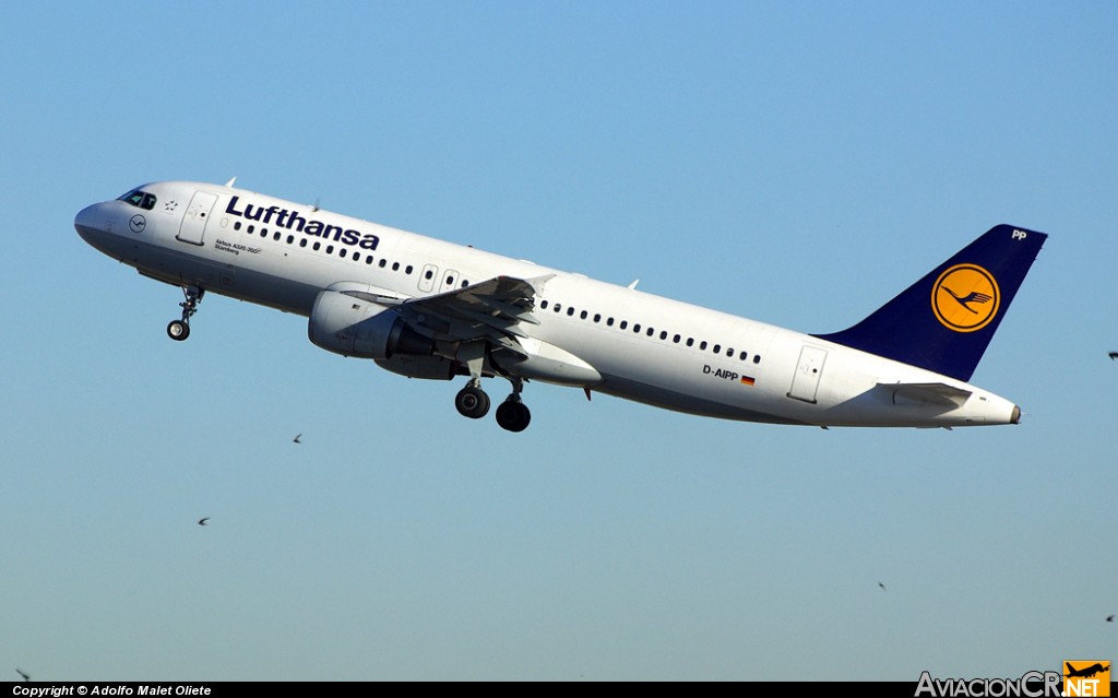 D-AIPP - Airbus A320-211 - Lufthansa