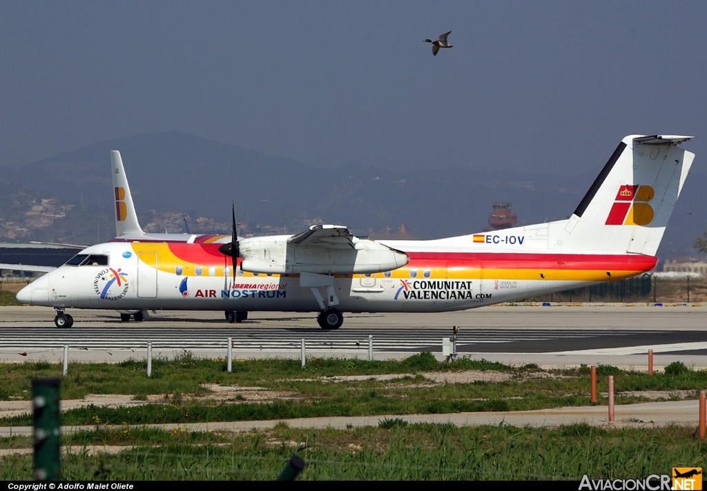 EC-IOV - De Havilland Canada DHC-8-315Q Dash 8 - Iberia Regional (Air Nostrum)