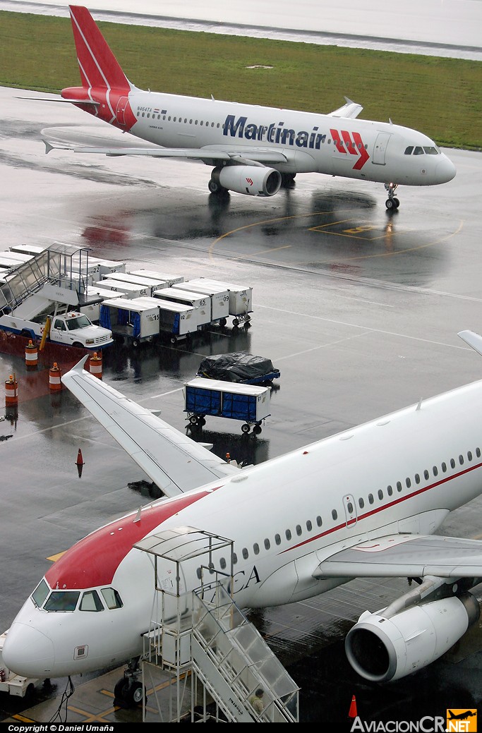 N464TA - Airbus A320-233 - Martinair