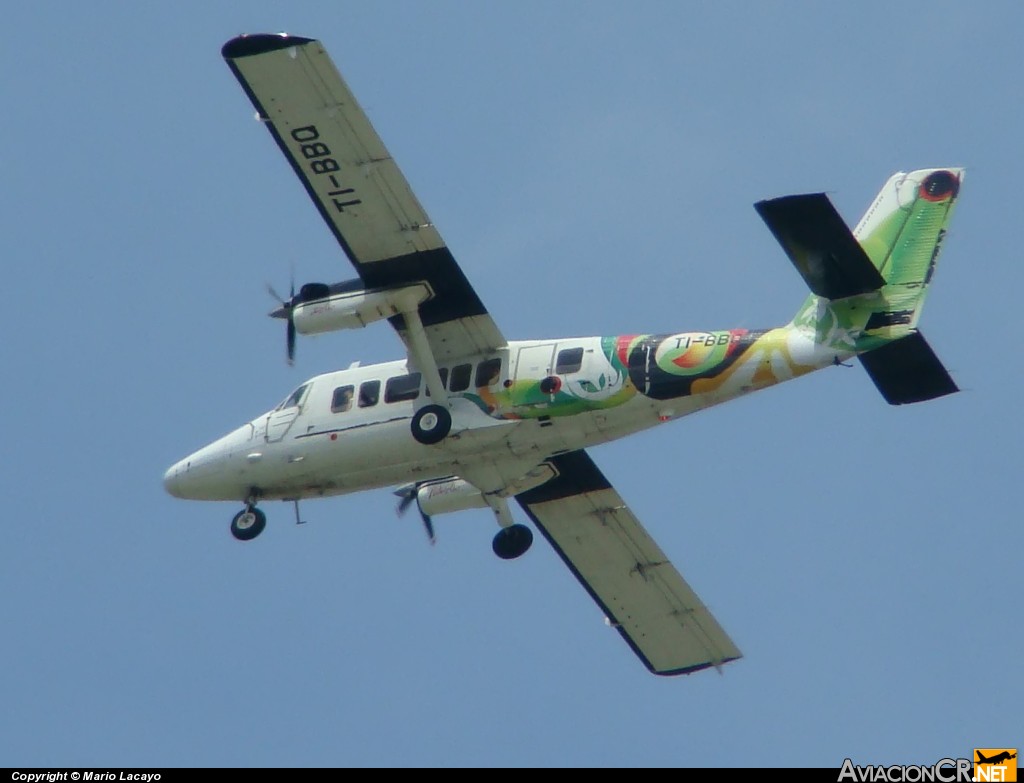 TI-BBQ - De Havilland Canada DHC-6-300 Twin Otter/VistaLiner - Nature Air