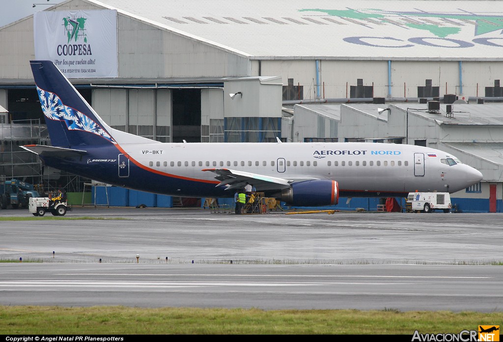VP-BKT - Boeing 737-33R - Aeroflot Nord