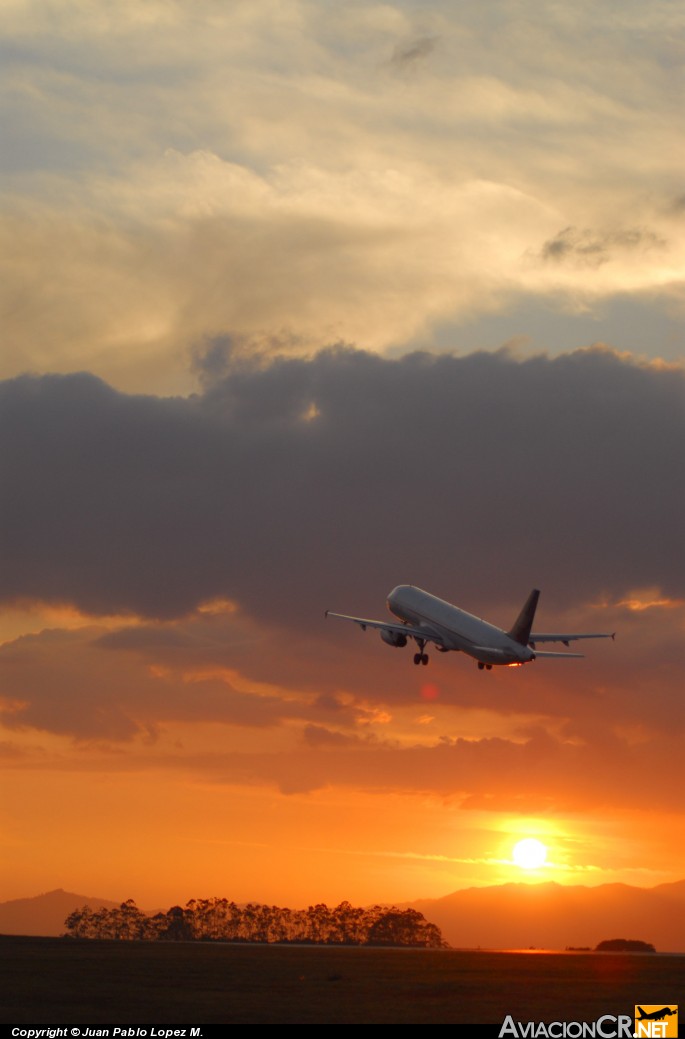 N567TA - Airbus A321-231 - TACA