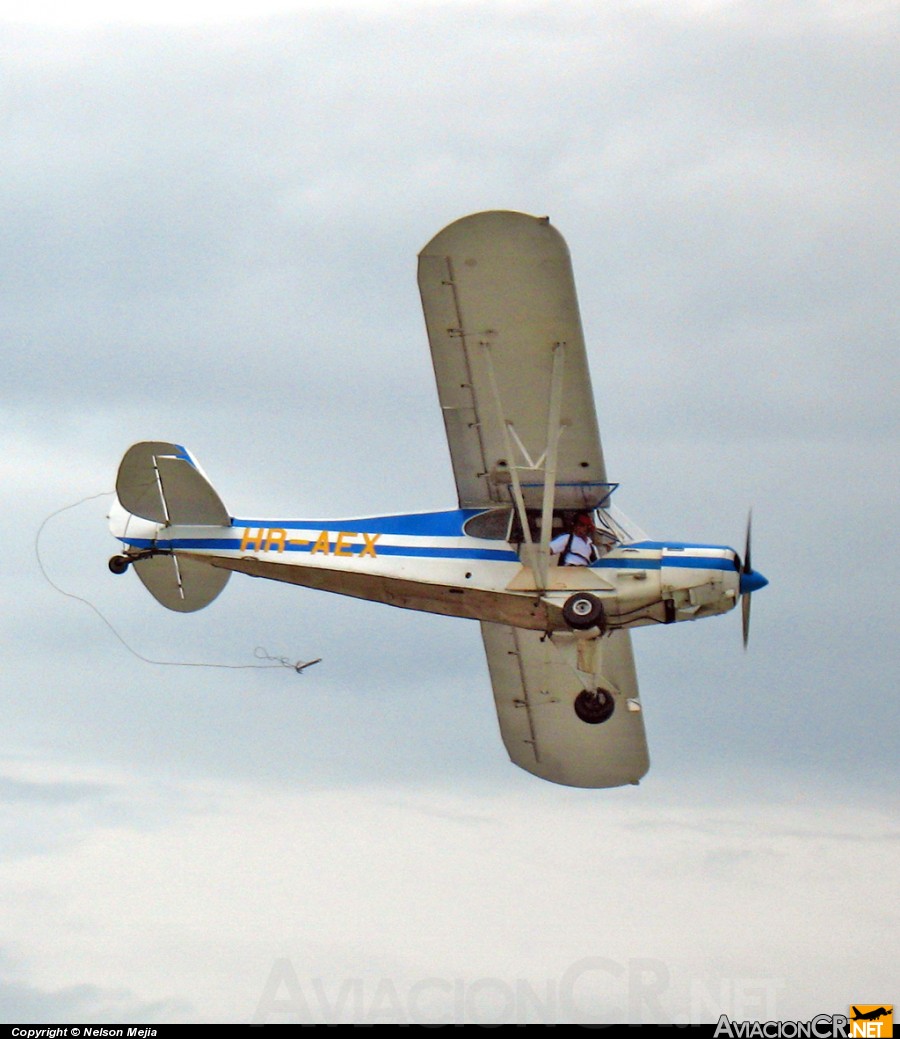 HR-AEX - Piper PA-18-150 Super Cub - AeroClub de San Pedro Sula