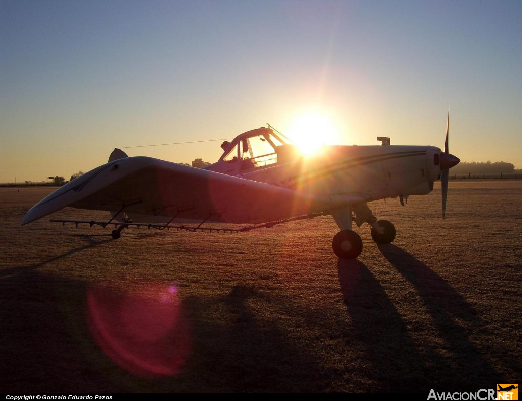 LV-ZNZ - Piper PA25-235-D Pawnee - Desconocida