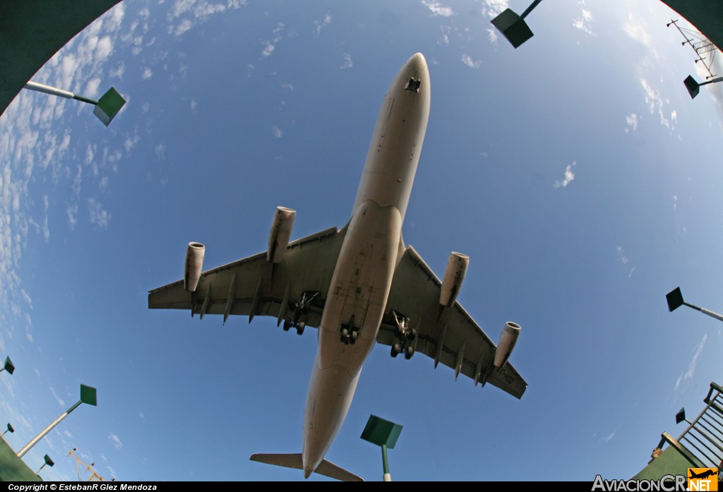 EC-HDQ - Airbus A340-313X - Iberia