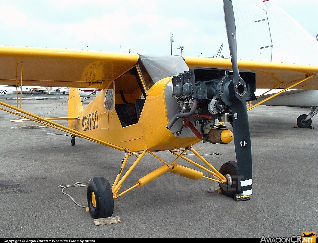 N2875D - Piper PA-18-135 Super Cub - Aerial Sign of Puerto Rico