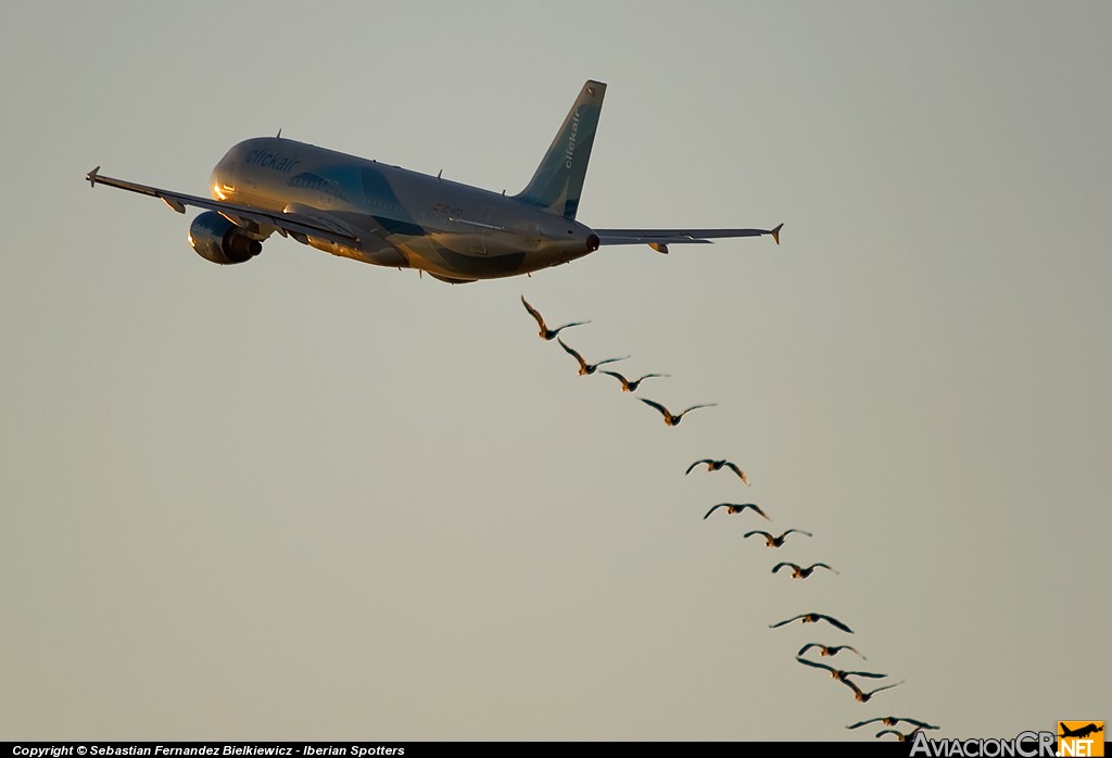 EC-HTD - Airbus A320-214 - Iberia