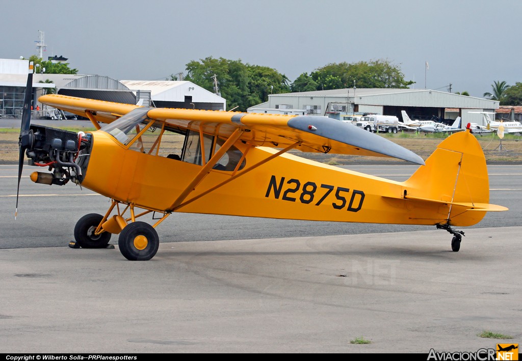 N2875D - Piper PA-18-135 Super Cub - Yellow Media