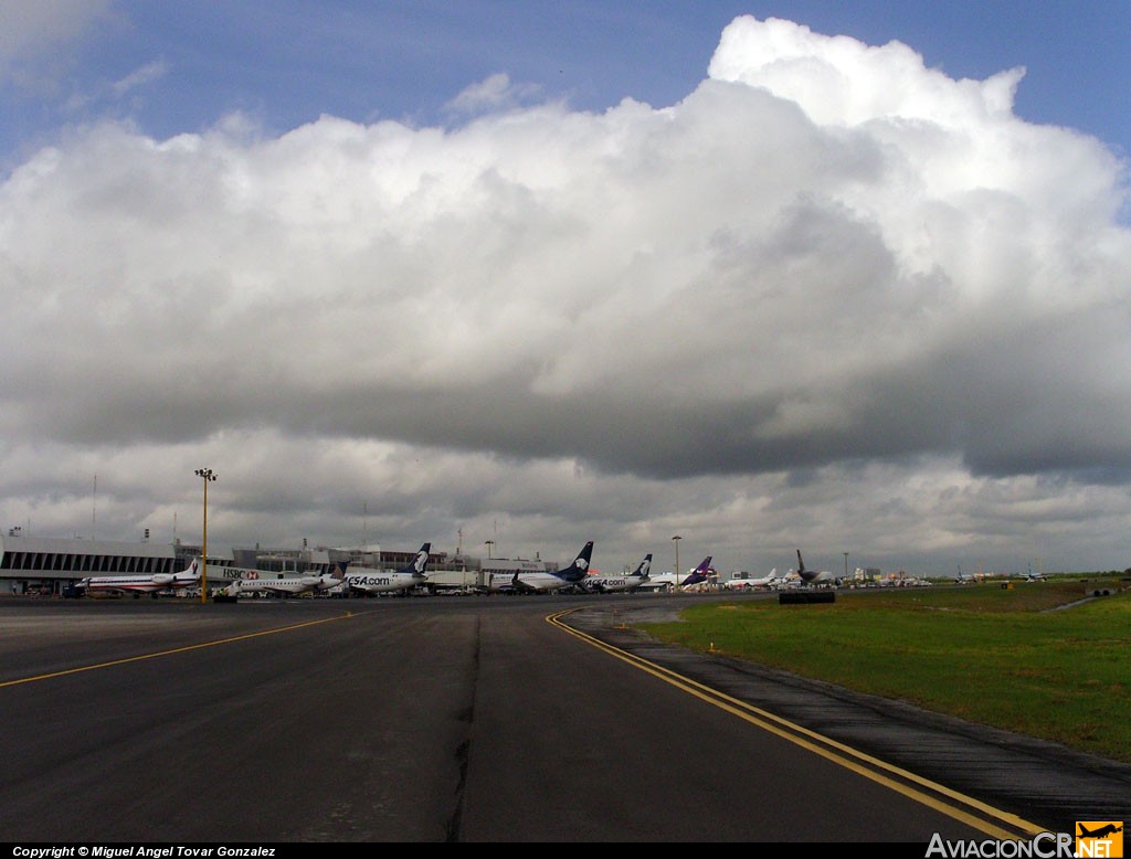  -  - Aeropuerto