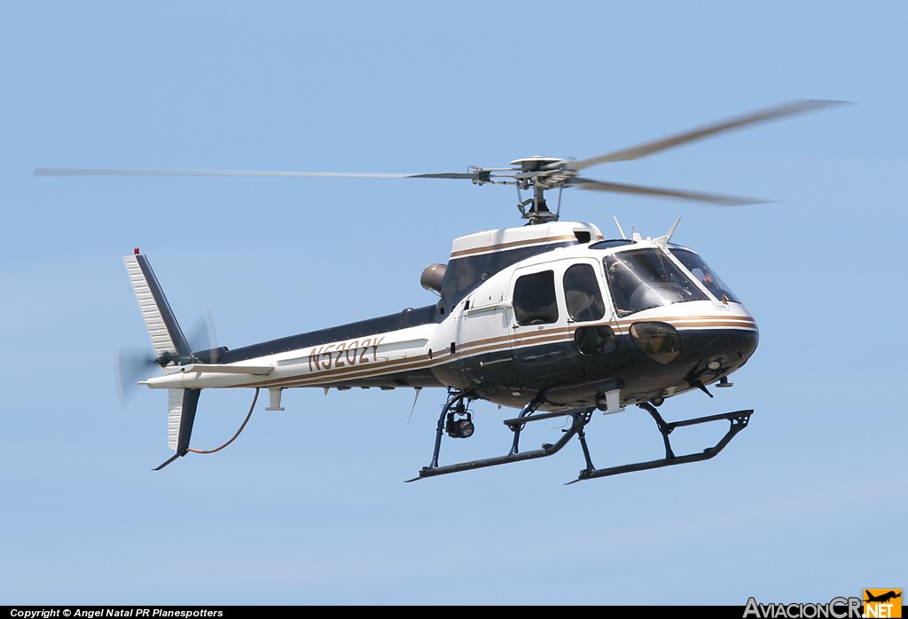 N5202Y - Eurocopter AS-350B3 Ecureuil - United States Customs National Aviation Center