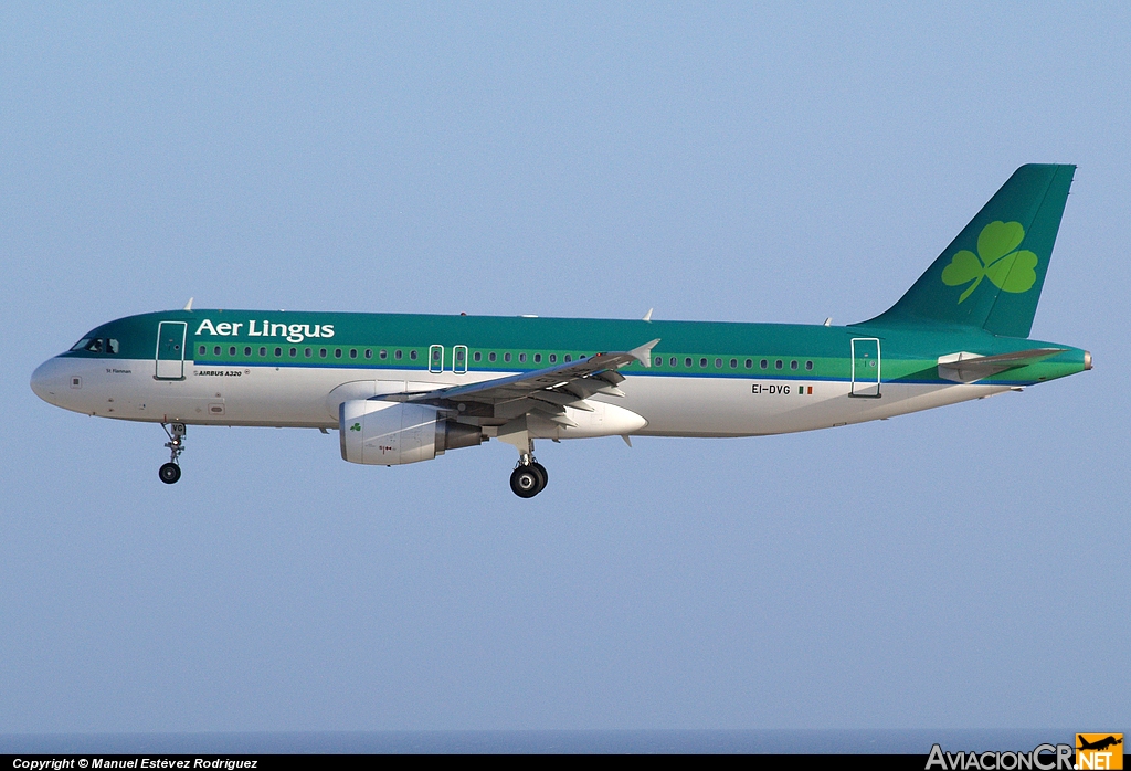 EI-DVG - Airbus A320-214 - Aer Lingus
