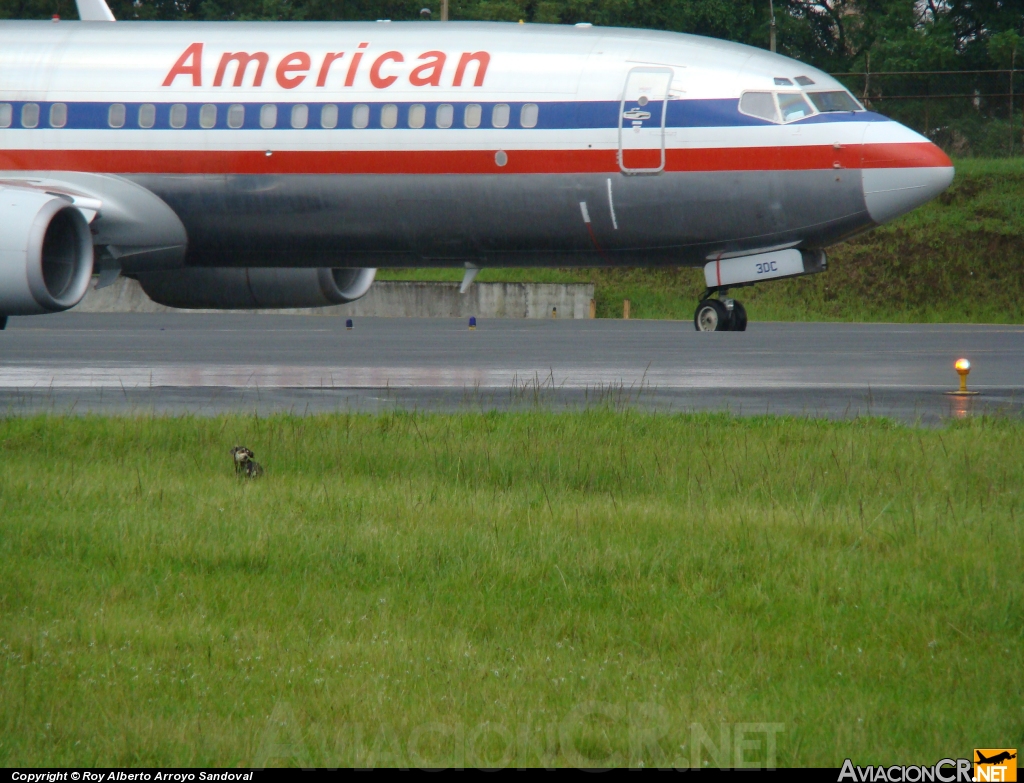 N970AN - Boeing 737-823 - American Airlines