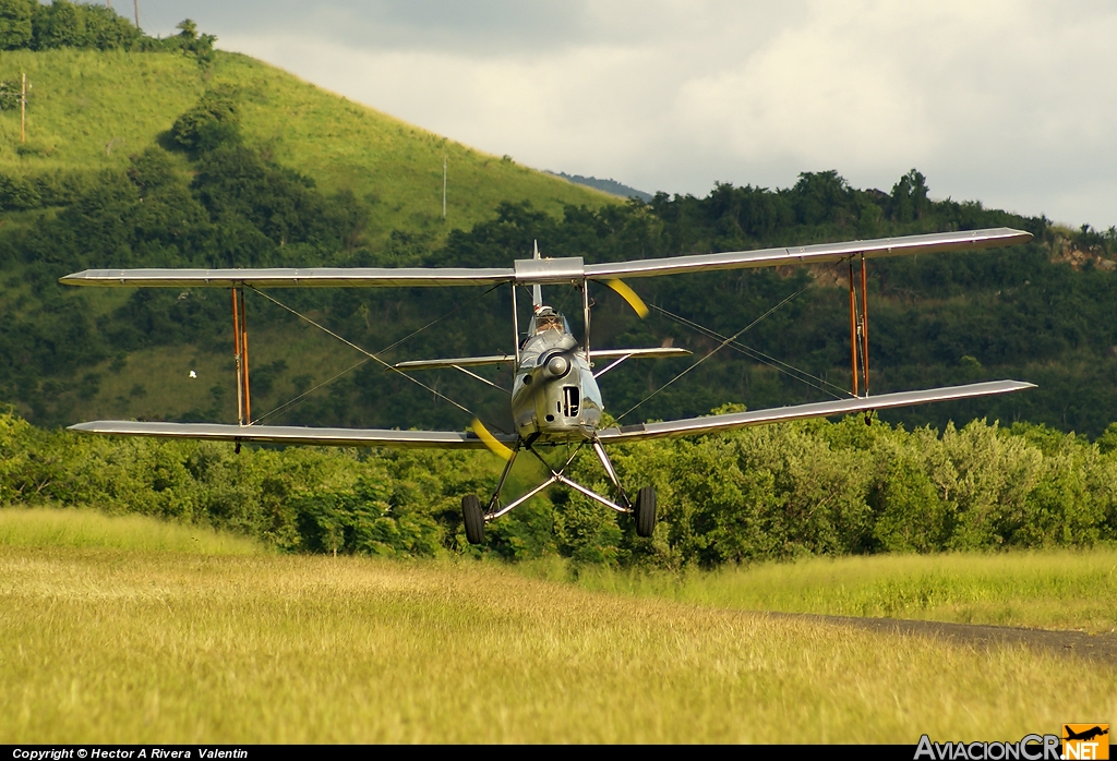 N176TM - De Havilland DH-82A Tiger Moth - Privado