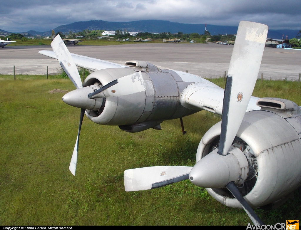  - Douglas DC-6 - Desconocida