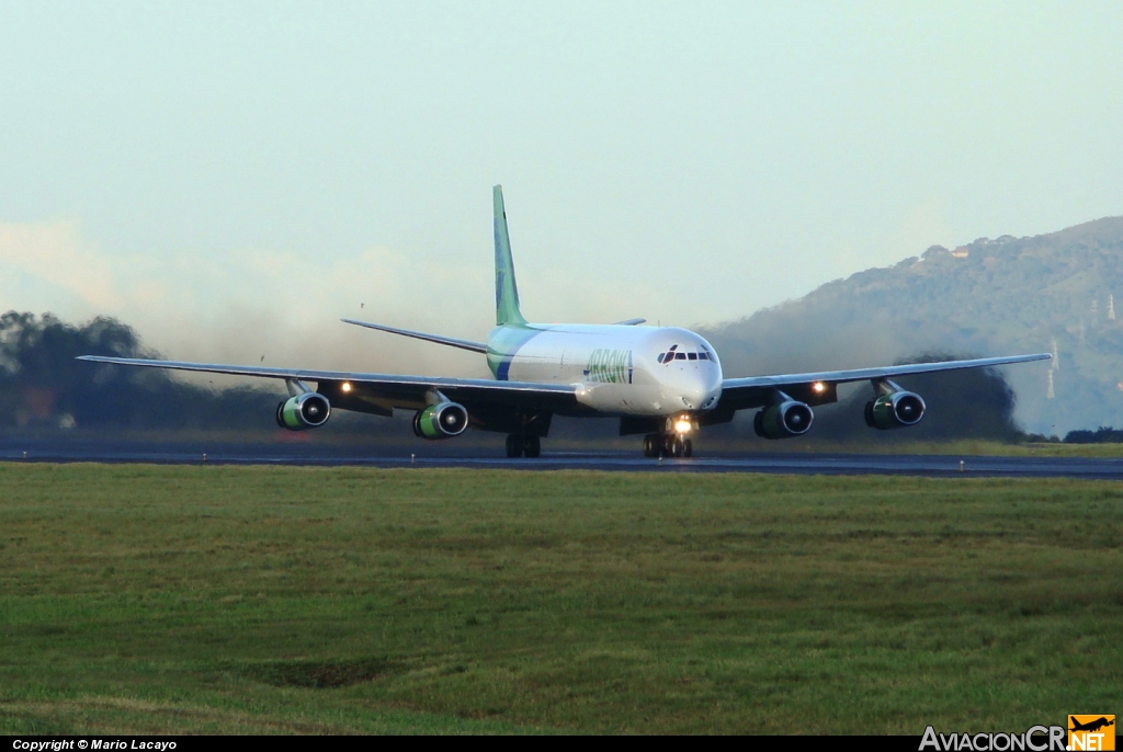 N784AL - McDonnell Douglas DC-8-63(F) - Arrow Panamá