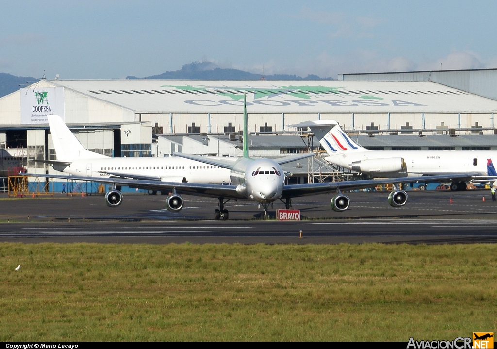 N784AL - McDonnell Douglas DC-8-63(F) - Arrow Panamá