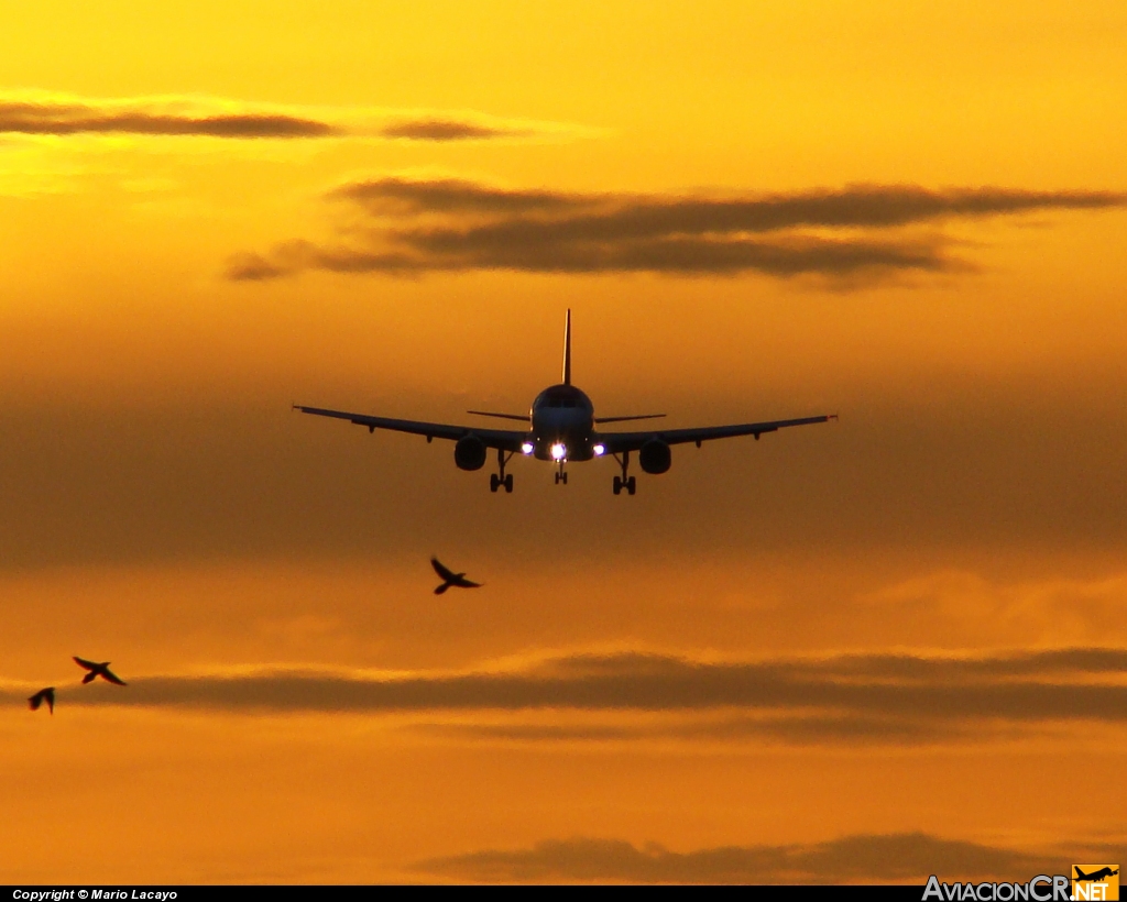 N492TA - Airbus A320-233 - TACA