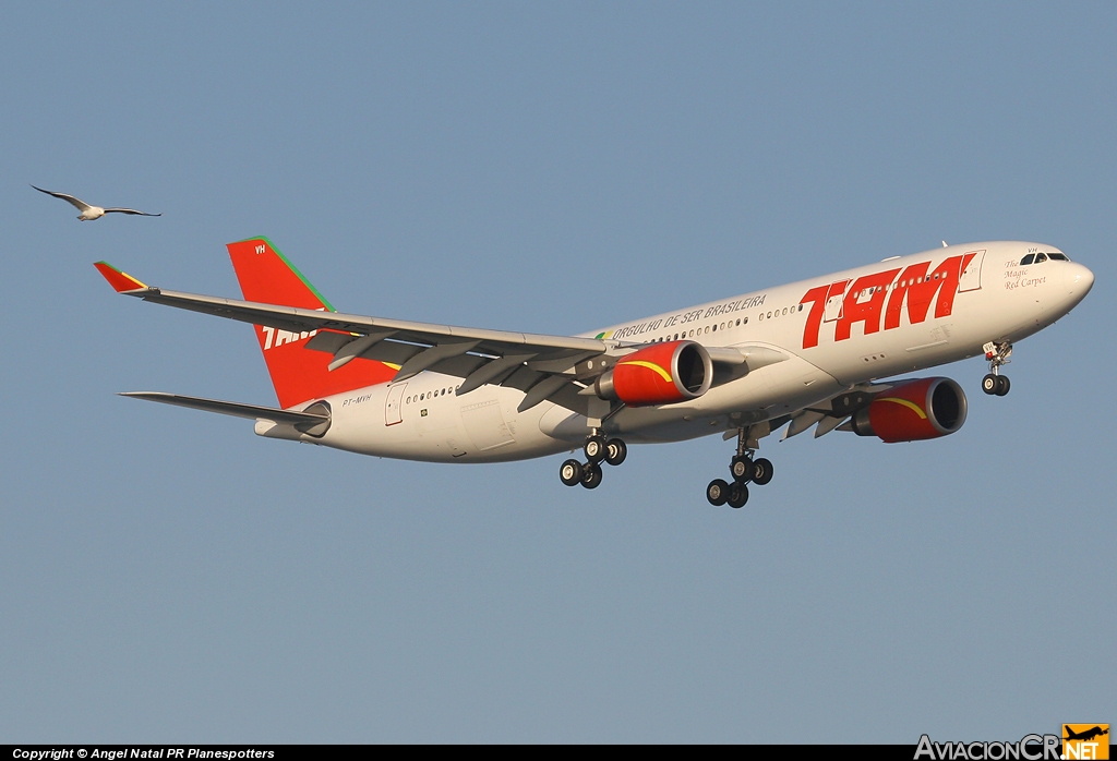 PT-MVH - Airbus A330-203 - TAM